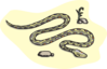 Snake In The Desert Clip Art